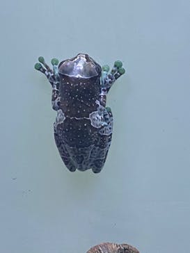 サンシャイン水族館に投稿された画像（2020/12/18）