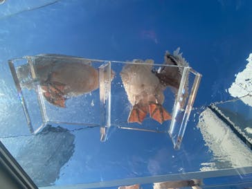 サンシャイン水族館に投稿された画像（2020/12/18）