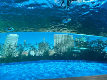 サンシャイン水族館に投稿された画像（2020/12/18）