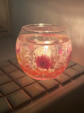 ずこうしつ〜sugamo〜に投稿された画像（2020/12/18）