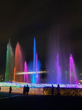 東京メガイルミに投稿された画像（2020/12/18）