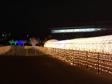 東京メガイルミに投稿された画像（2020/12/18）