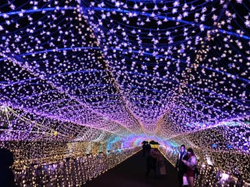 東京メガイルミに投稿された画像（2020/12/18）