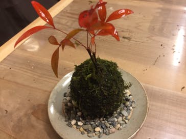 伊勢夫婦岩めおと横丁　めおと岩アクティビティに投稿された画像（2020/12/18）