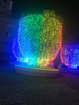 東京メガイルミに投稿された画像（2020/12/18）