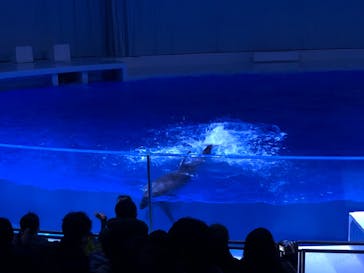 アクアワールド茨城県大洗水族館に投稿された画像（2020/12/18）