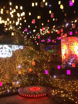 ひらかたパークに投稿された画像（2020/12/18）