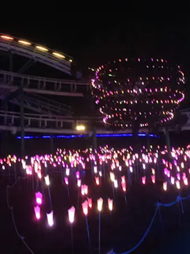 ひらかたパークに投稿された画像（2020/12/18）