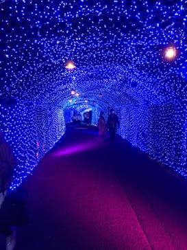 ひらかたパークに投稿された画像（2020/12/18）