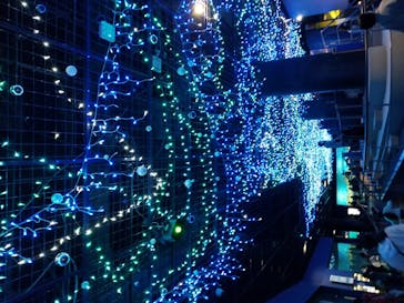 アクアワールド茨城県大洗水族館に投稿された画像（2020/12/18）