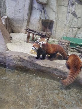 那須どうぶつ王国に投稿された画像（2020/12/18）