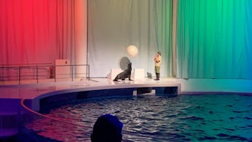 アクアワールド茨城県大洗水族館に投稿された画像（2020/12/18）