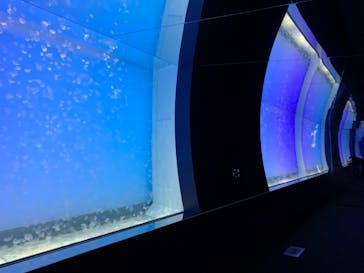 アクアワールド茨城県大洗水族館に投稿された画像（2020/12/18）