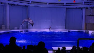 アクアワールド茨城県大洗水族館に投稿された画像（2020/12/18）