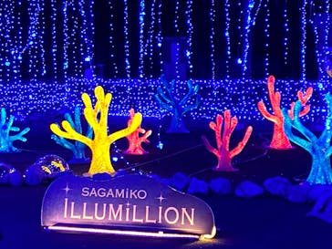 さがみ湖MORI MORIに投稿された画像（2020/12/18）