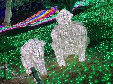 さがみ湖MORI MORIに投稿された画像（2020/12/18）