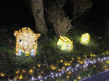 さがみ湖MORI MORIに投稿された画像（2020/12/18）