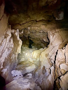 自然派企画に投稿された画像（2020/12/12）