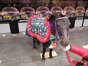 東京メガイルミに投稿された画像（2020/12/18）