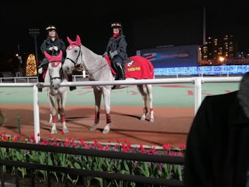 東京メガイルミに投稿された画像（2020/12/18）