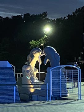 アクアワールド茨城県大洗水族館に投稿された画像（2020/12/18）