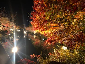 なばなの里に投稿された画像（2020/12/18）