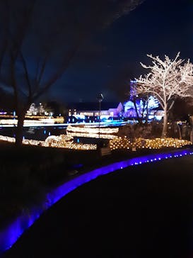 なばなの里に投稿された画像（2020/12/18）