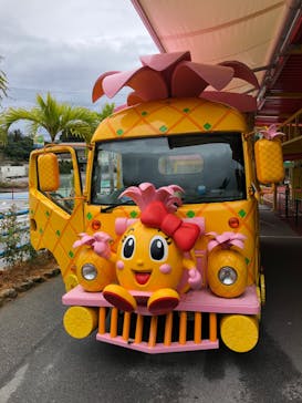 ナゴパイナップルパークに投稿された画像（2020/12/18）