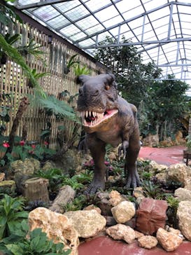 ナゴパイナップルパークに投稿された画像（2020/12/18）