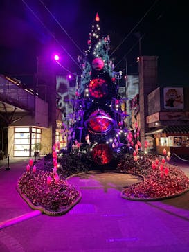 ひらかたパークに投稿された画像（2020/12/18）