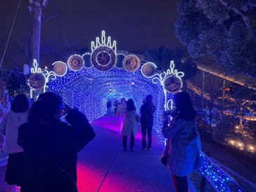 ひらかたパークに投稿された画像（2020/12/18）