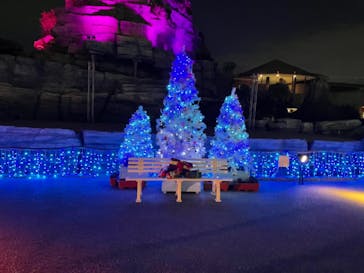 ひらかたパークに投稿された画像（2020/12/18）