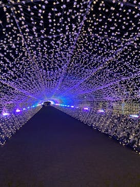 東京メガイルミに投稿された画像（2020/12/18）