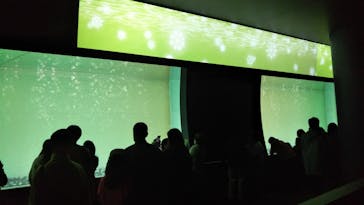 アクアワールド茨城県大洗水族館に投稿された画像（2020/12/18）