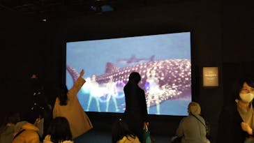 アクアワールド茨城県大洗水族館に投稿された画像（2020/12/18）