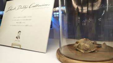 アクアワールド茨城県大洗水族館に投稿された画像（2020/12/18）