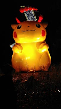 さがみ湖MORI MORIに投稿された画像（2020/12/18）