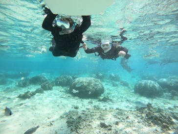 MalDive（モルダイブ）に投稿された画像（2020/12/19）