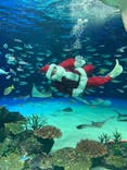 サンシャイン水族館に投稿された画像（2020/12/19）