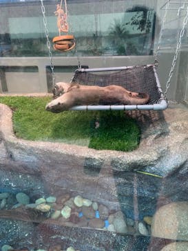 サンシャイン水族館に投稿された画像（2020/12/19）