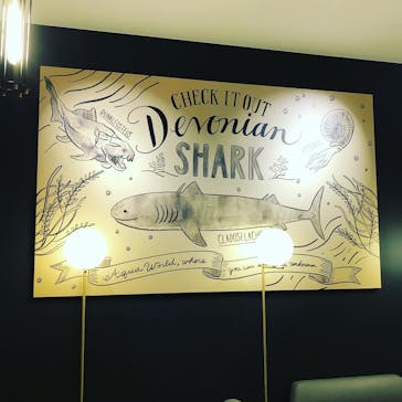 アクアワールド茨城県大洗水族館に投稿された画像（2020/12/19）