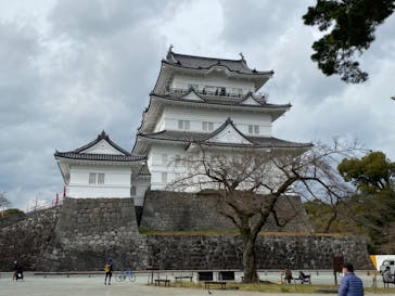 小田原城に投稿された画像（2020/12/19）