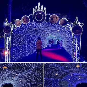 ひらかたパークに投稿された画像（2020/12/19）