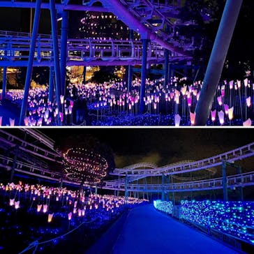 ひらかたパークに投稿された画像（2020/12/19）