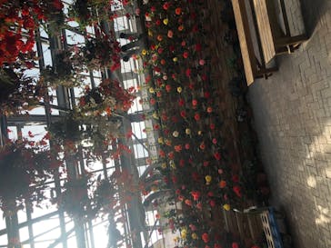 なばなの里に投稿された画像（2020/12/19）