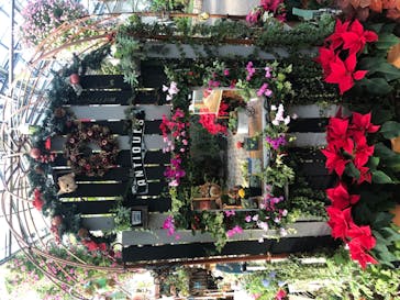 なばなの里に投稿された画像（2020/12/19）