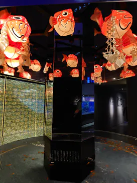 すみだ水族館に投稿された画像（2020/12/19）