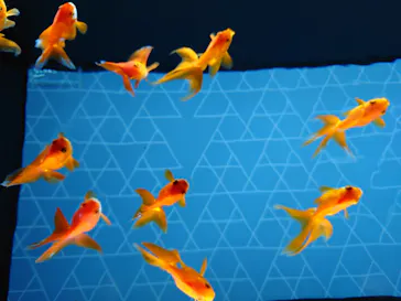 すみだ水族館に投稿された画像（2020/12/19）