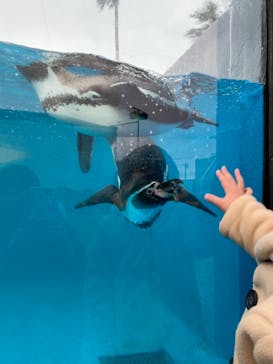 南知多ビーチランド＆南知多おもちゃ王国に投稿された画像（2020/12/19）