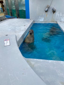 南知多ビーチランド＆南知多おもちゃ王国に投稿された画像（2020/12/19）